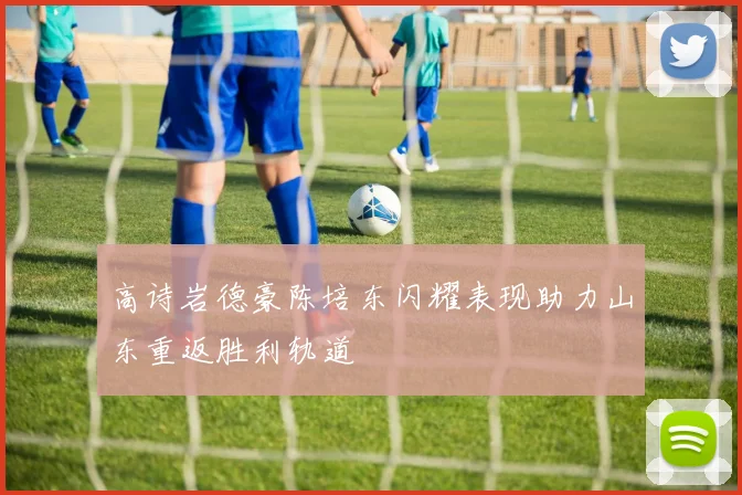 高诗岩德豪陈培东闪耀表现助力山东重返胜利轨道